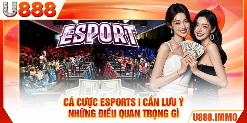 ca-cuoc-esports-can-luu-y-nhung-dieu-quan-trong-gi
