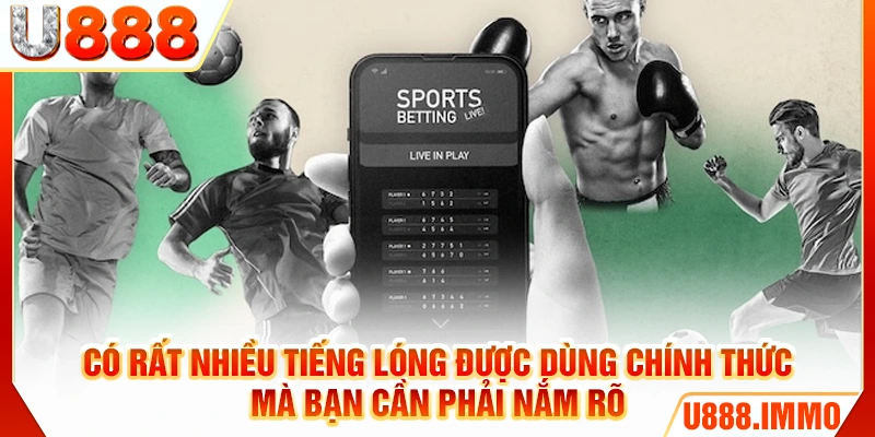 Có rất nhiều tiếng lóng được dùng chính thức mà bạn cần phải nắm rõ