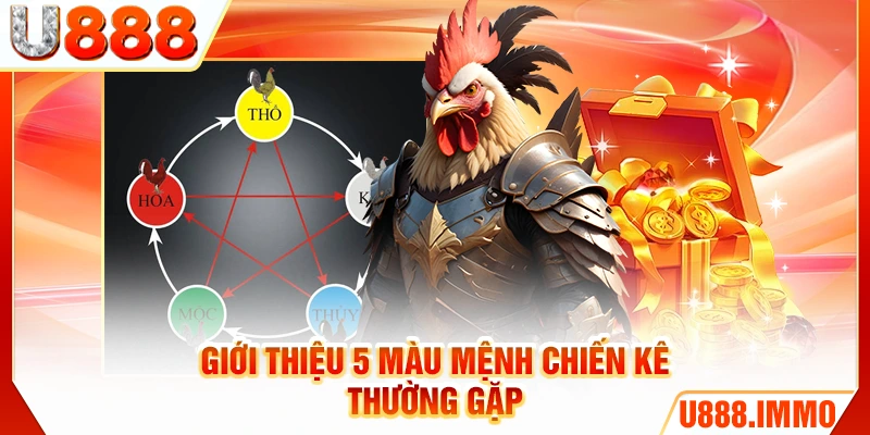 Giới thiệu 5 màu mệnh chiến kê thường gặp