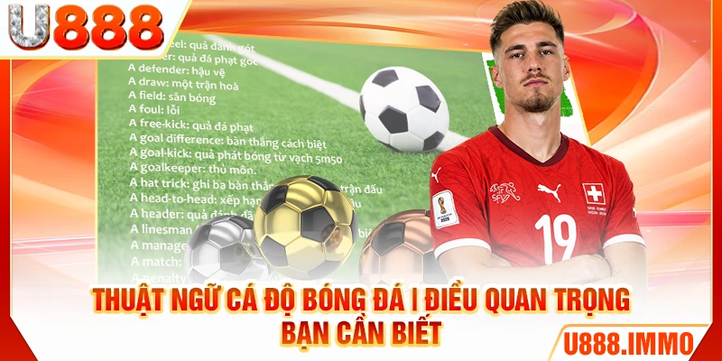 thuat-ngu-ca-do-bong-da-dieu-quan-trong-ban-can-biet