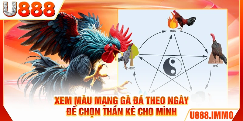xem-mau-mang-ga-da-theo-ngay-de-chon-than-ke-cho-minh
