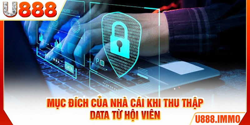 Mục đích của nhà cái khi thu thập data từ hội viên
